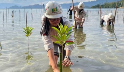 Berikut **narasi awal yang sudah dirubah** untuk keterangan gambar: **Keterangan Gambar (versi baru):** Petugas PT Bumi Sentosa Jaya (BSJ) tengah menanam bibit mangrove di kawasan pesisir Desa Boedingi, Kecamatan Lasolo Kepulauan, Konawe Utara. Penanaman ini menjadi bagian dari upaya perusahaan dalam memulihkan ekosistem pesisir dan memperkuat perlindungan alami pantai. Foto: Istimewa