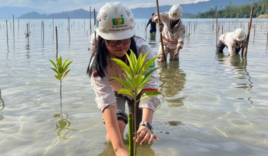 Berikut **narasi awal yang sudah dirubah** untuk keterangan gambar: **Keterangan Gambar (versi baru):** Petugas PT Bumi Sentosa Jaya (BSJ) tengah menanam bibit mangrove di kawasan pesisir Desa Boedingi, Kecamatan Lasolo Kepulauan, Konawe Utara. Penanaman ini menjadi bagian dari upaya perusahaan dalam memulihkan ekosistem pesisir dan memperkuat perlindungan alami pantai. Foto: Istimewa